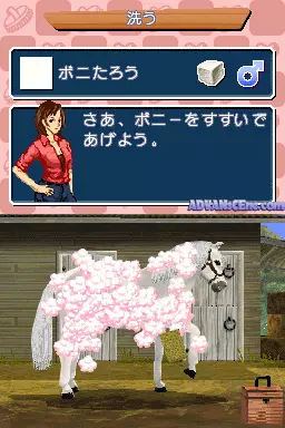Image n° 3 - screenshots : Watashi no Pony